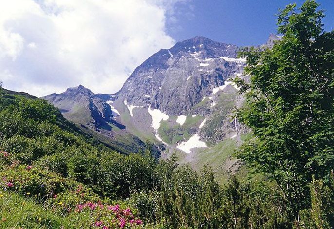 Bild 32