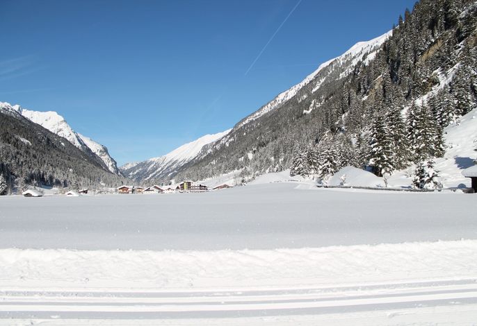 Bild 36