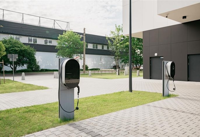 Bild 81