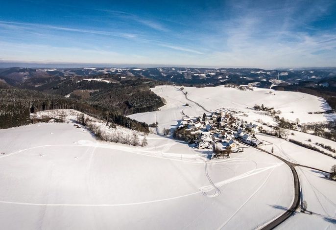 Bild 11
