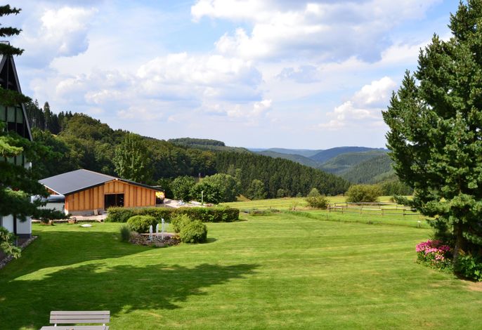 Bild 9