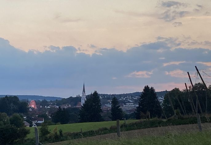 Bild 15