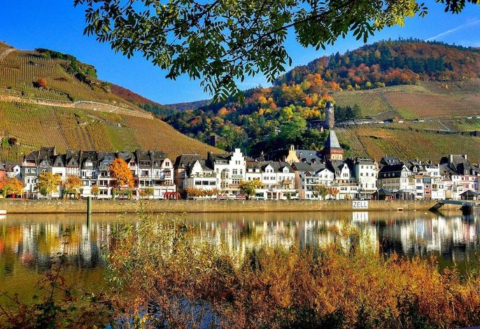 Bild 37