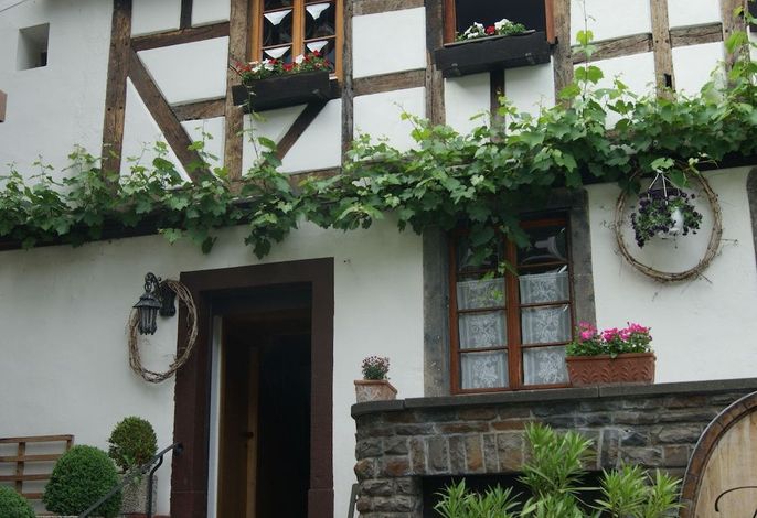 Bild 38