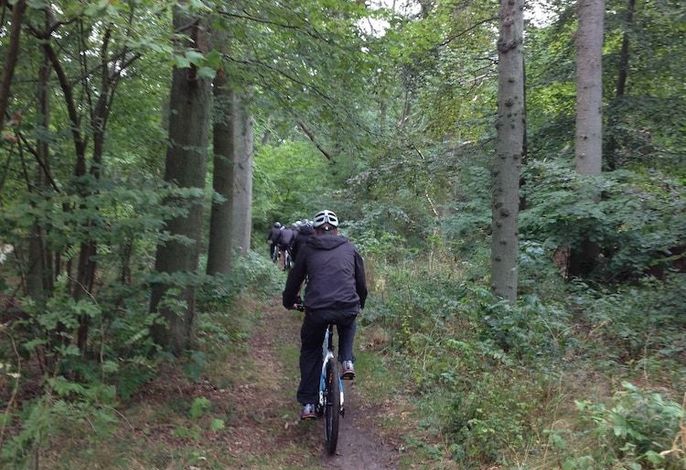 Bild 52