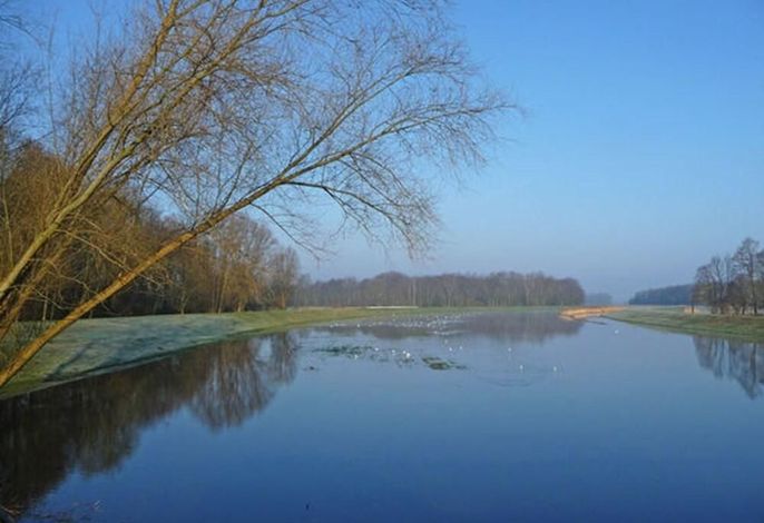 Ferienhof  Alte  Schmiede