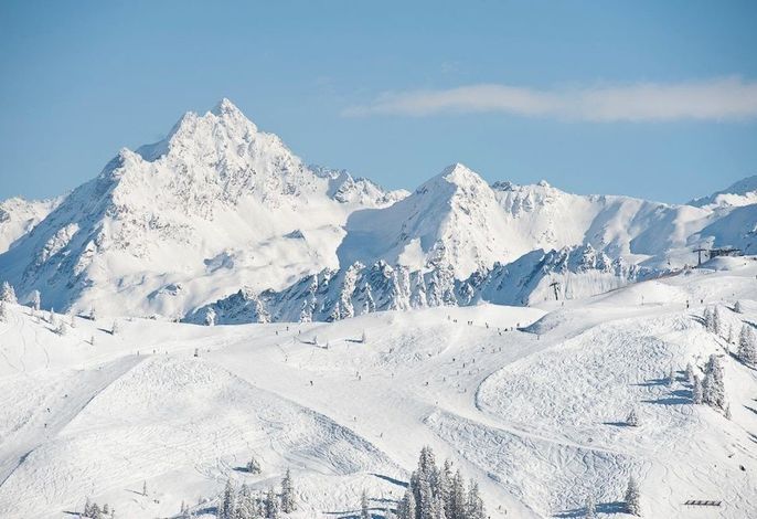 Bild 19