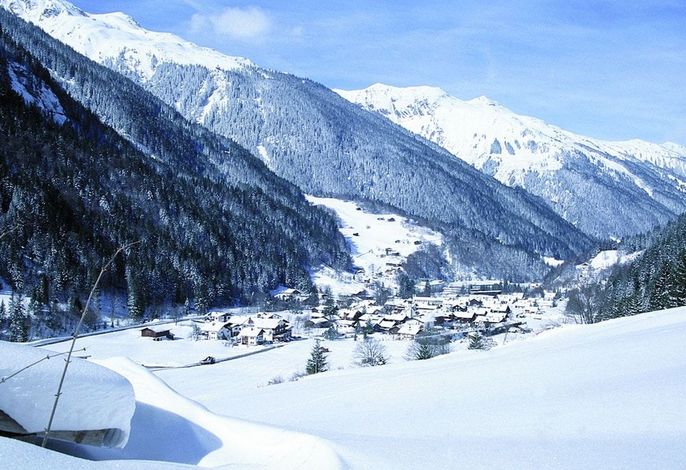 Bild 15