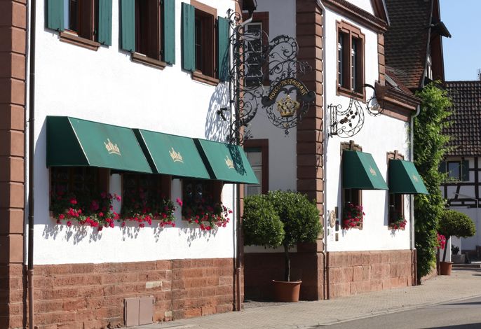Bild 15