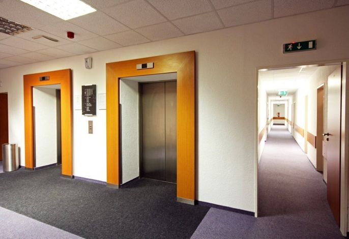 Bild 40