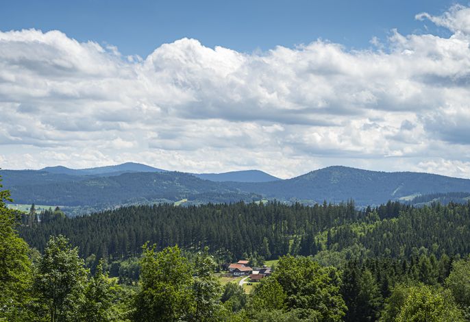 Hauptbild