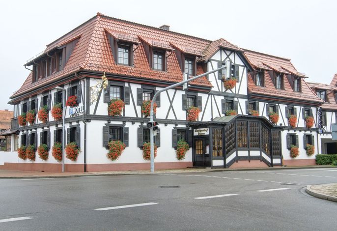 Bild 19