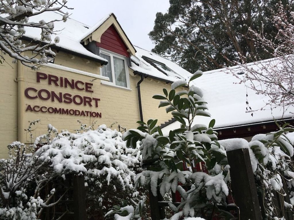 The Prince Consort