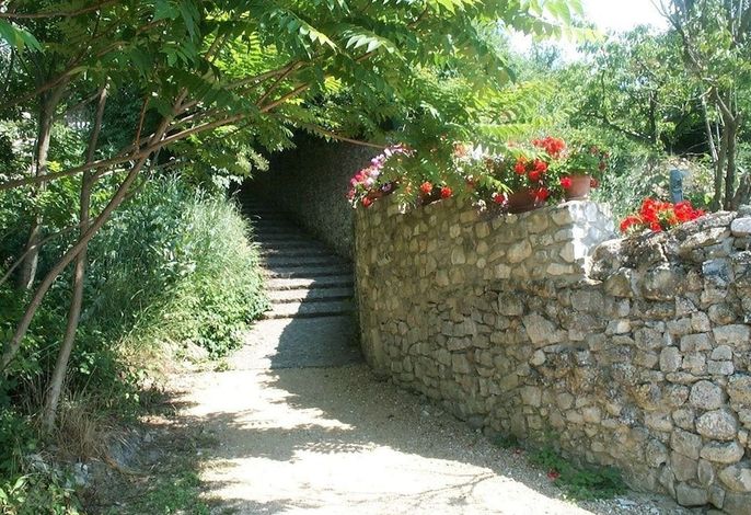 Bild 49