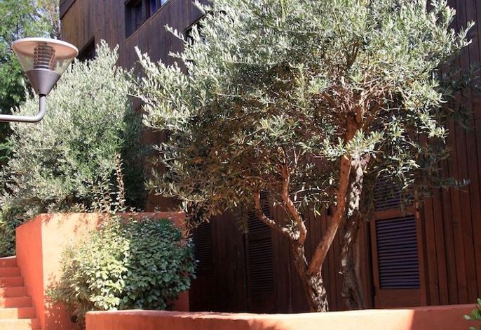 Résidence Castell'Verde – Foto 4