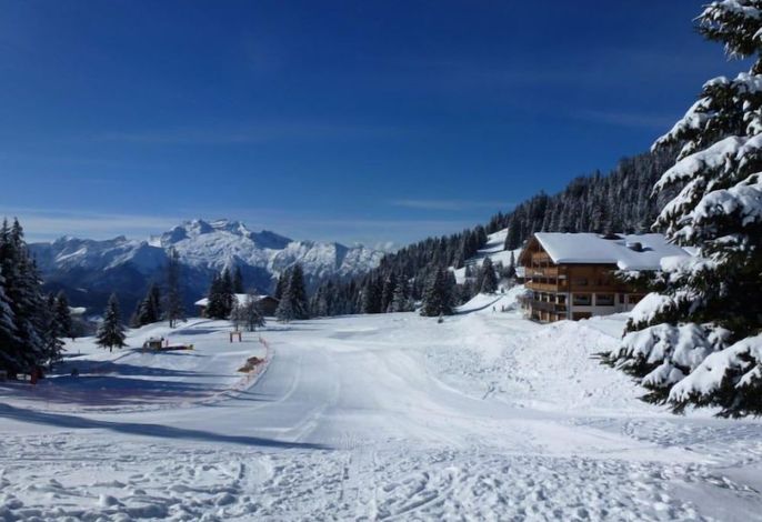 Bild 36