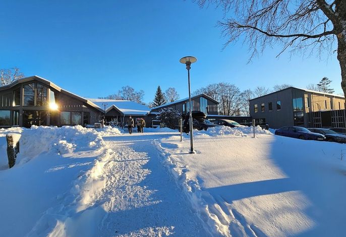 Bild 61