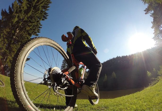 Bild 2