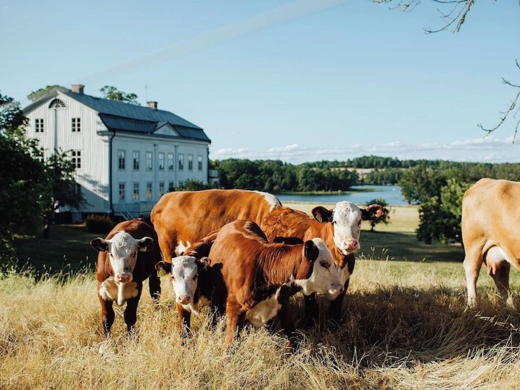 Wallby Säteri