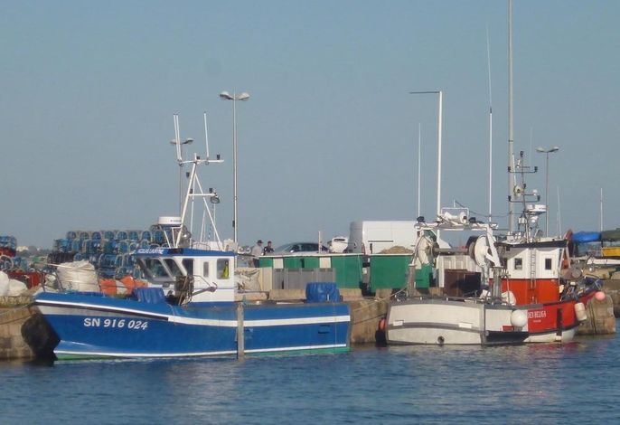 Bild 5
