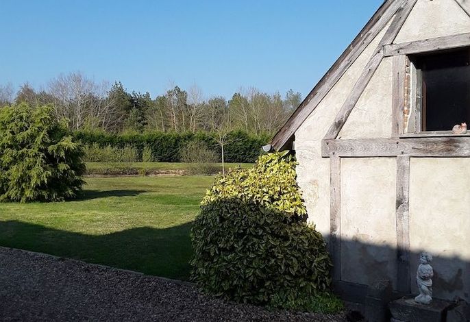Bild 19