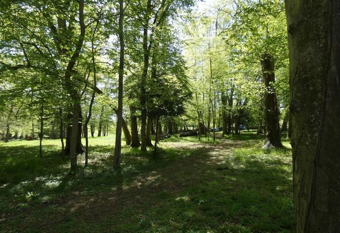 Bild 42