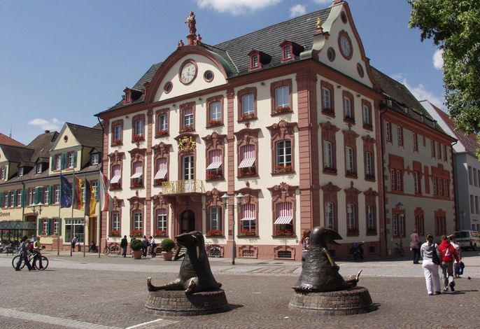 Bild 13