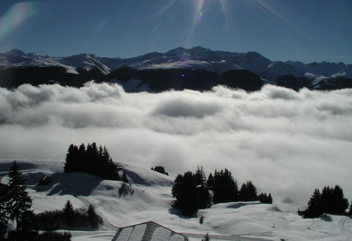 Bild 23