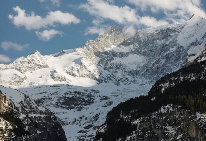 Bild 73