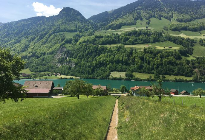 Bild 2