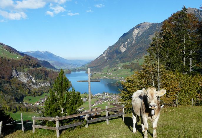 Bild 19