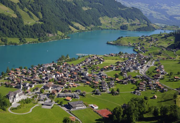 Bild 81