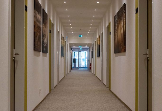 Bild 17