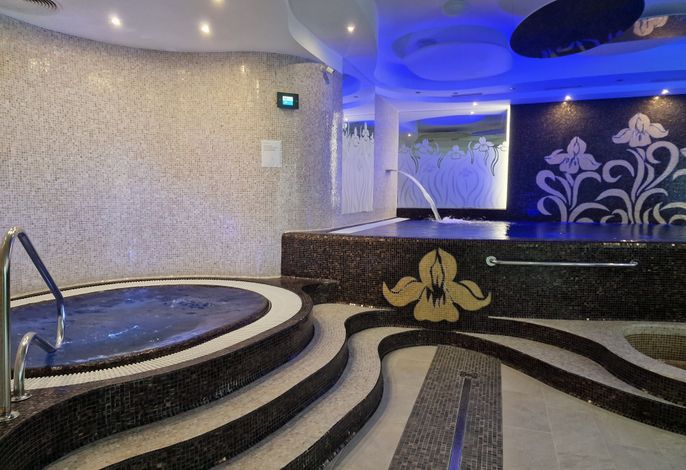 Spa Hotel IRIS