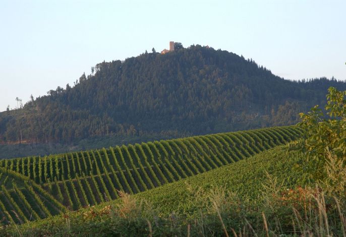 Bild 14