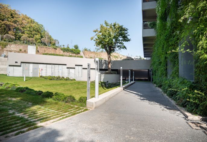 Bild 12