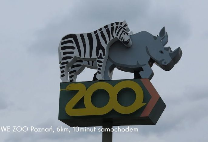 Bild 119