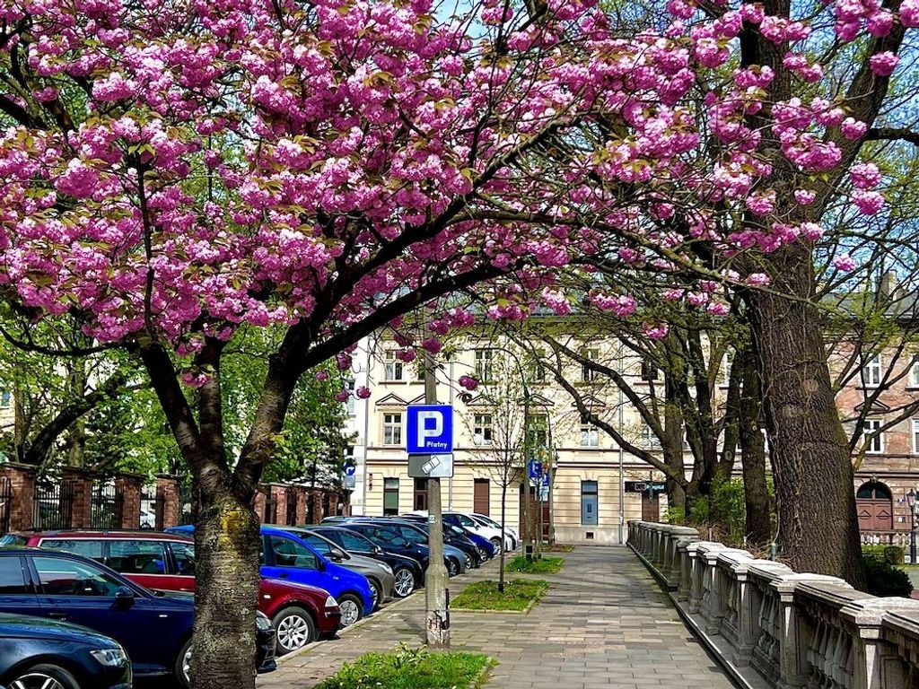 Krakow Central Apartments