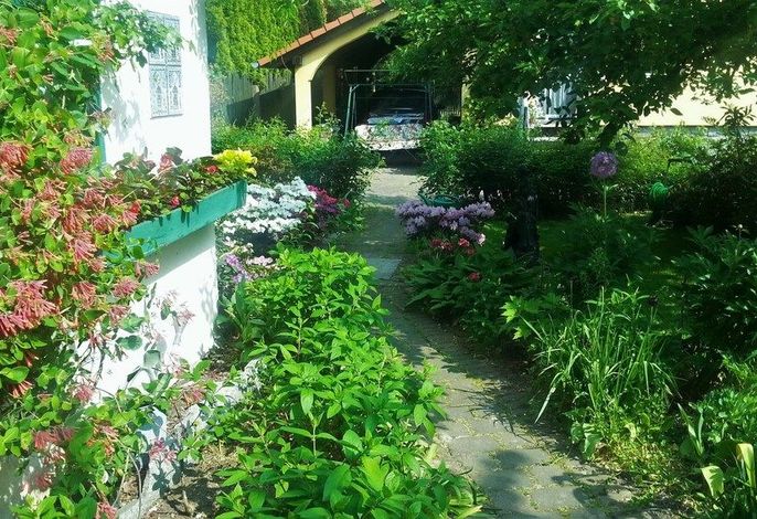 Bild 24