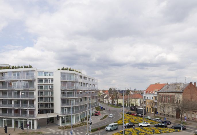 Bild 11