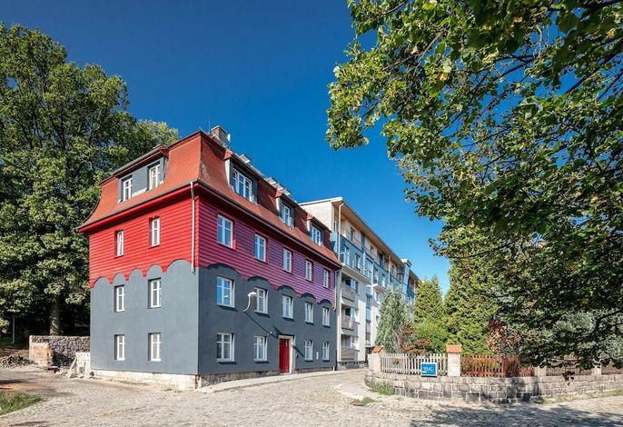 Bild 19
