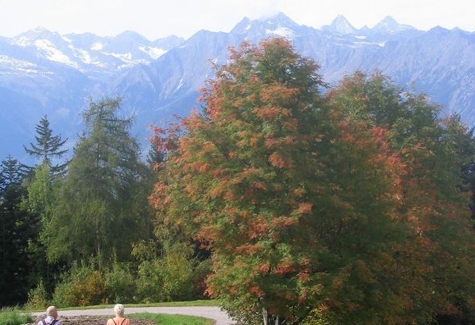 Bild 35