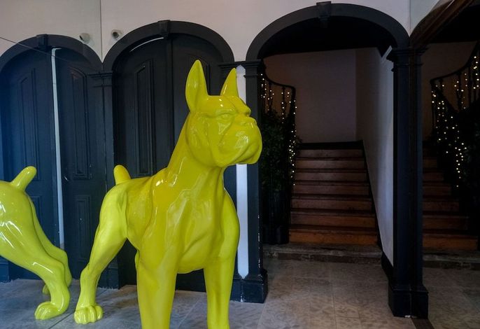 Bild 9