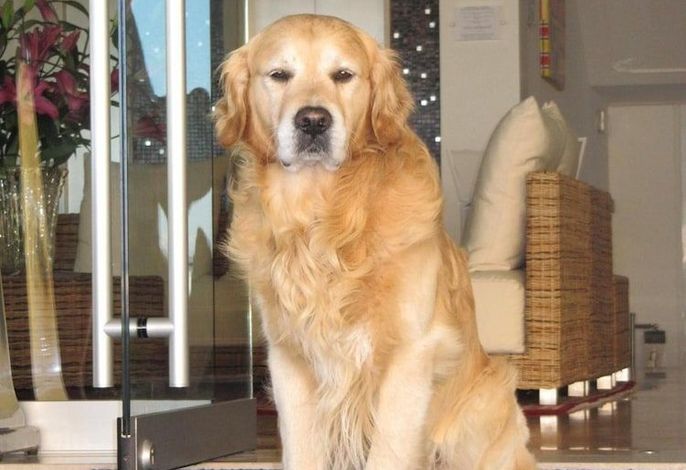Bild 24