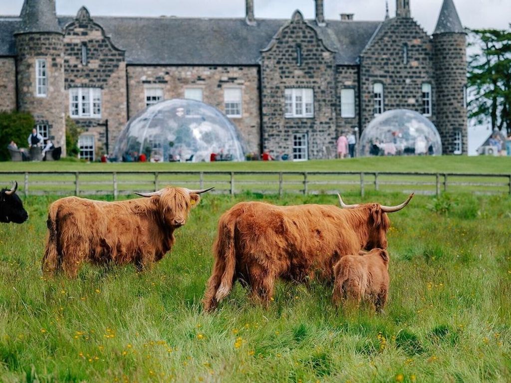 Meldrum House Country Hotel & Golf Course