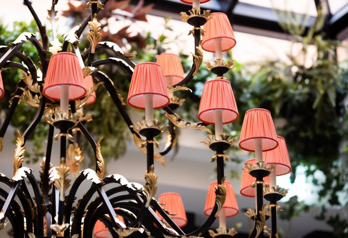 Bild 47