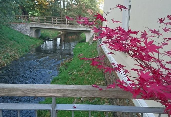 Bild 12