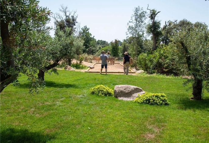 Bild 13