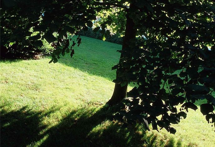 Bild 53