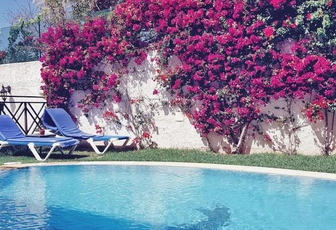 Bild 37